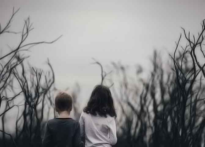 正版软件授权的器测压文章